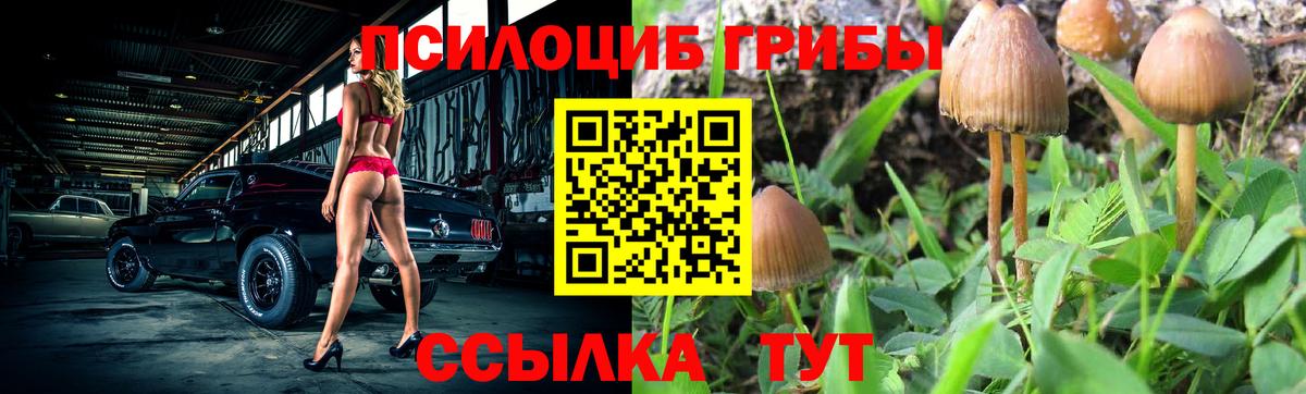 Галлюциногенные грибы Cubensis Жигулёвск